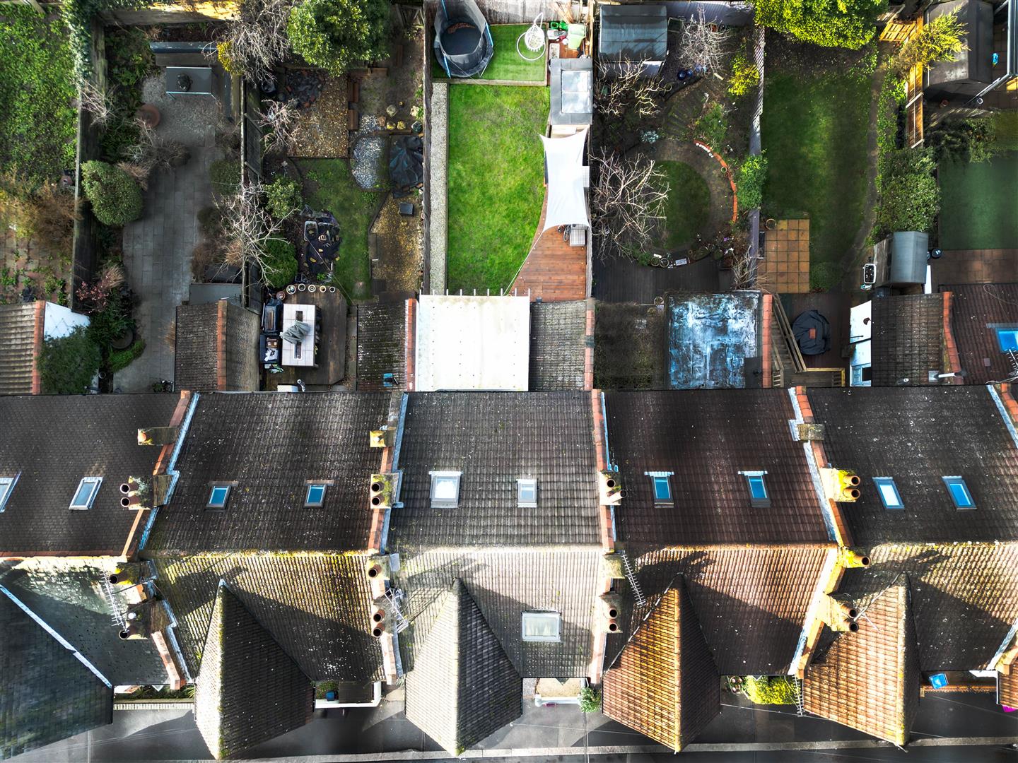 Plot Photo